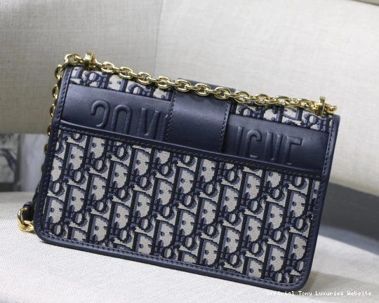 Tony Luxuries MONTAIGNECHAIN BAG 30 diro 0806